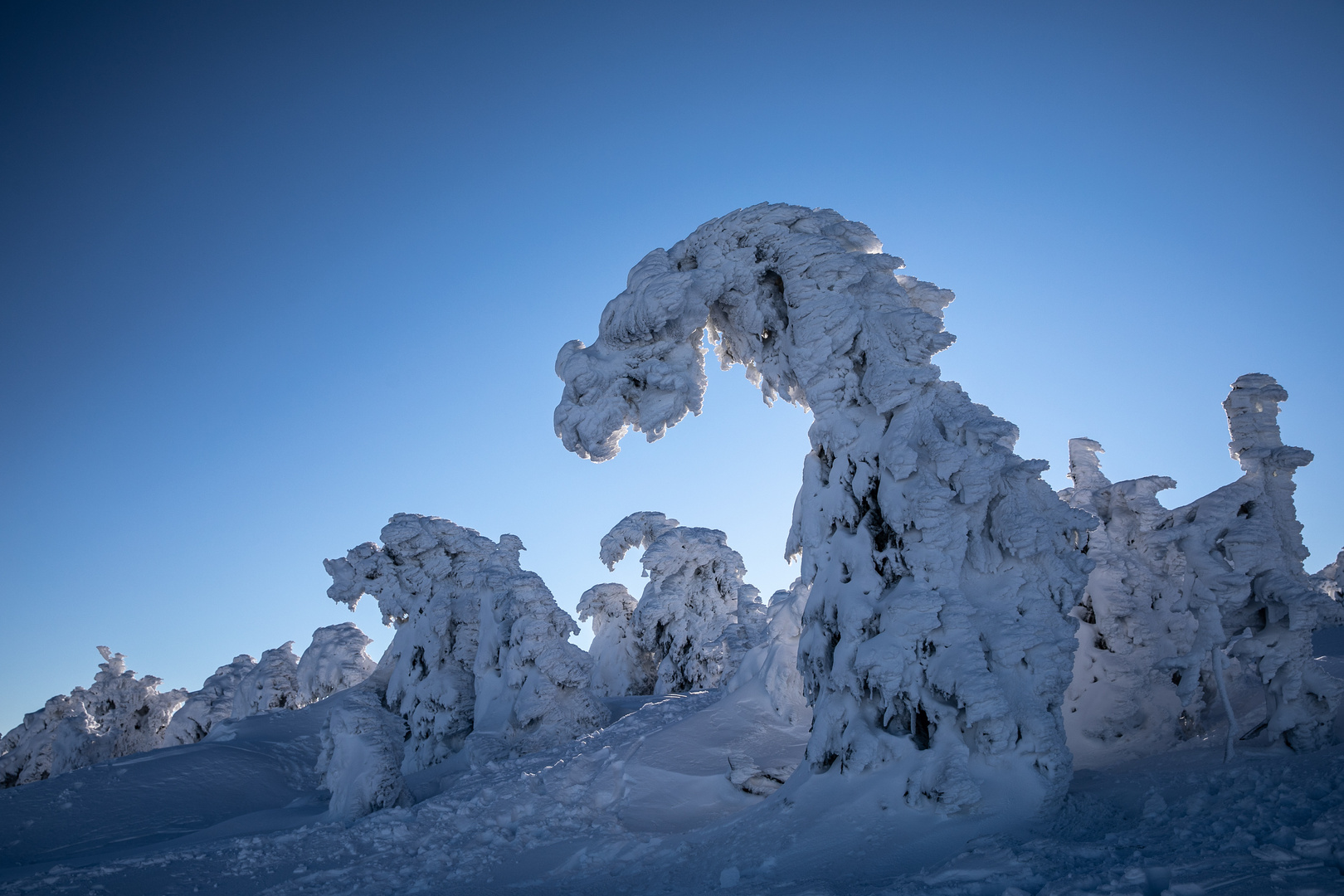 Hexen am Brocken