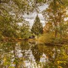 Hexenhäuschen im Herbstwald.....