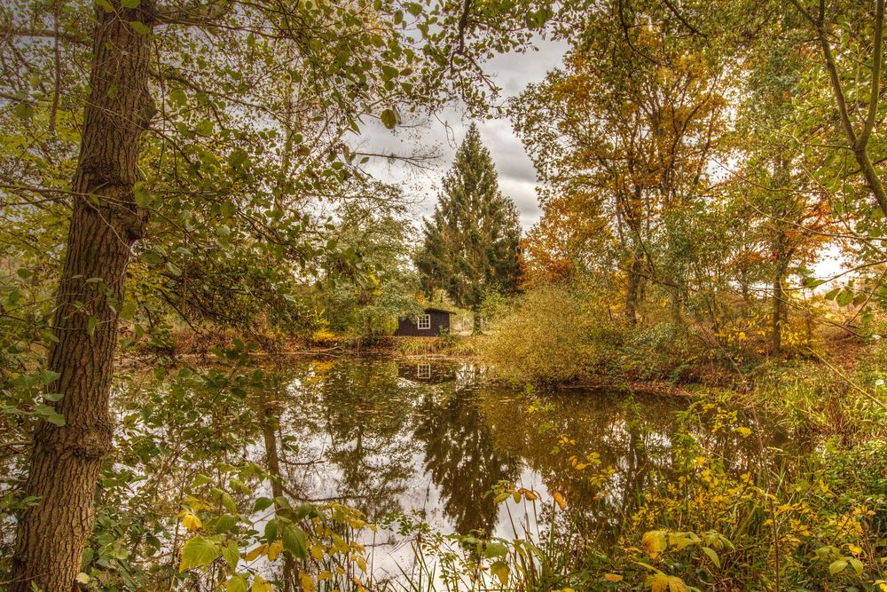 Hexenhäuschen im Herbstwald..... Foto & Bild helmstedt und natur