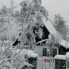 Hexenhäuschen im Schnee