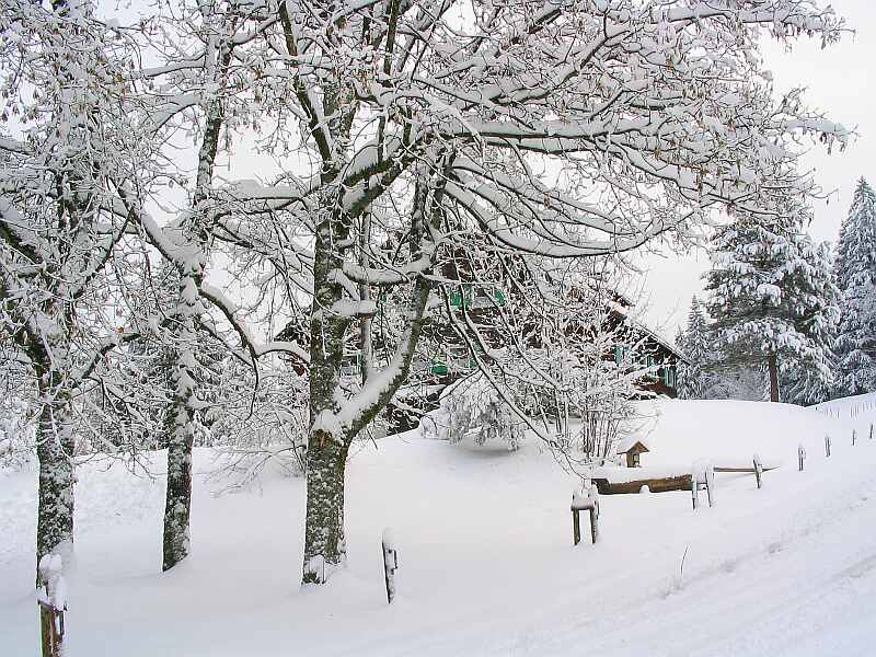 Hexenhäuschen im Winterwald