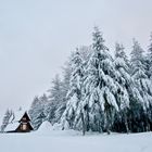 Hexenhaus am Hexensteig in Lautenbach