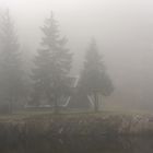 Hexenhaus im Nebel