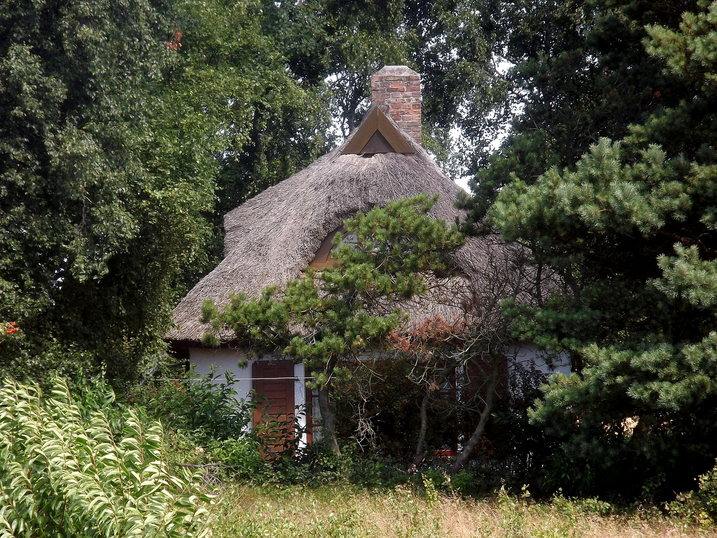 Hexenhaus in der Heide