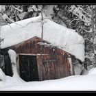 Hexenhütte im Bayrischen Wald