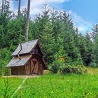 Hexenhütte im Wald