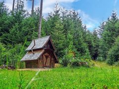 Hexenhütte im Wald