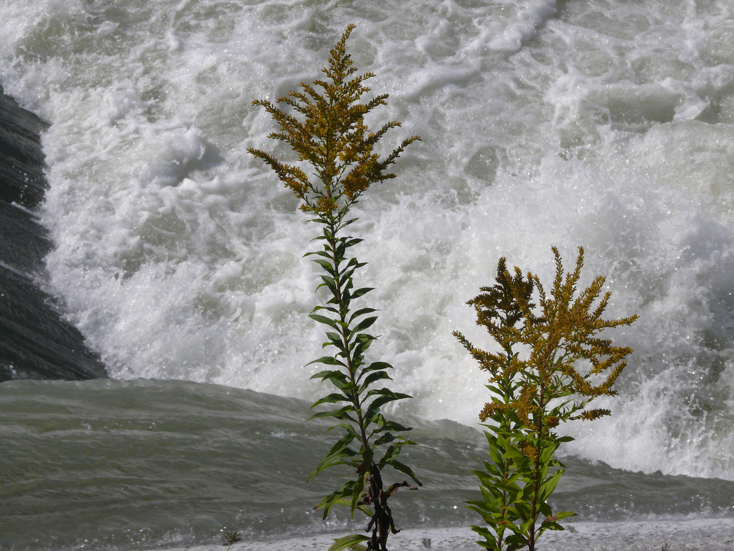 Hexenkessel Salzach