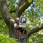 Hexenparkplatz im Zauberwald