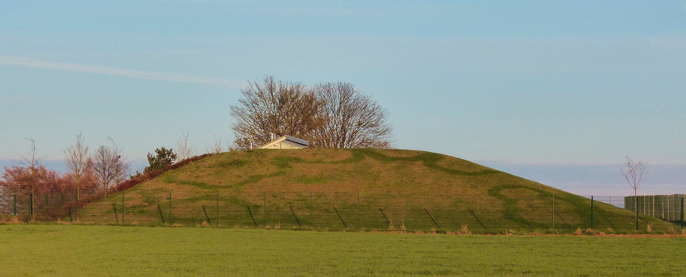 Hexenringe am Hochbehälter