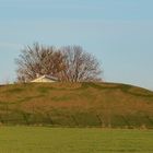 Hexenringe am Hochbehälter