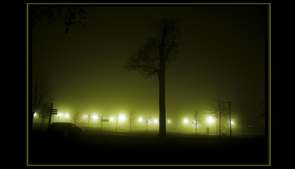Hexentanzplatz in Nebel gehüllt ,,Shrouded in Mist''