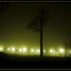 Hexentanzplatz in Nebel gehüllt ,,Shrouded in Mist''