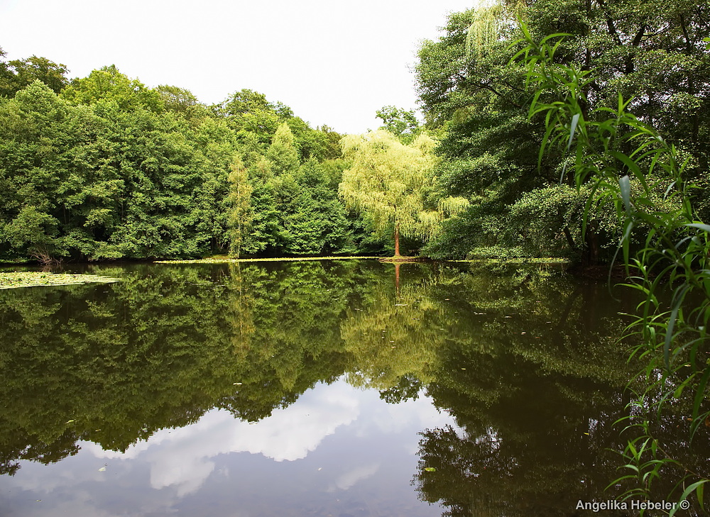 Hexenteich bei Menden