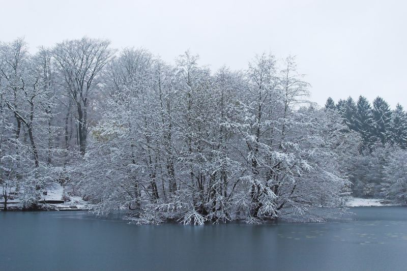 Hexenteich im Winter 2005