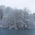 Hexenteich im Winter 2005