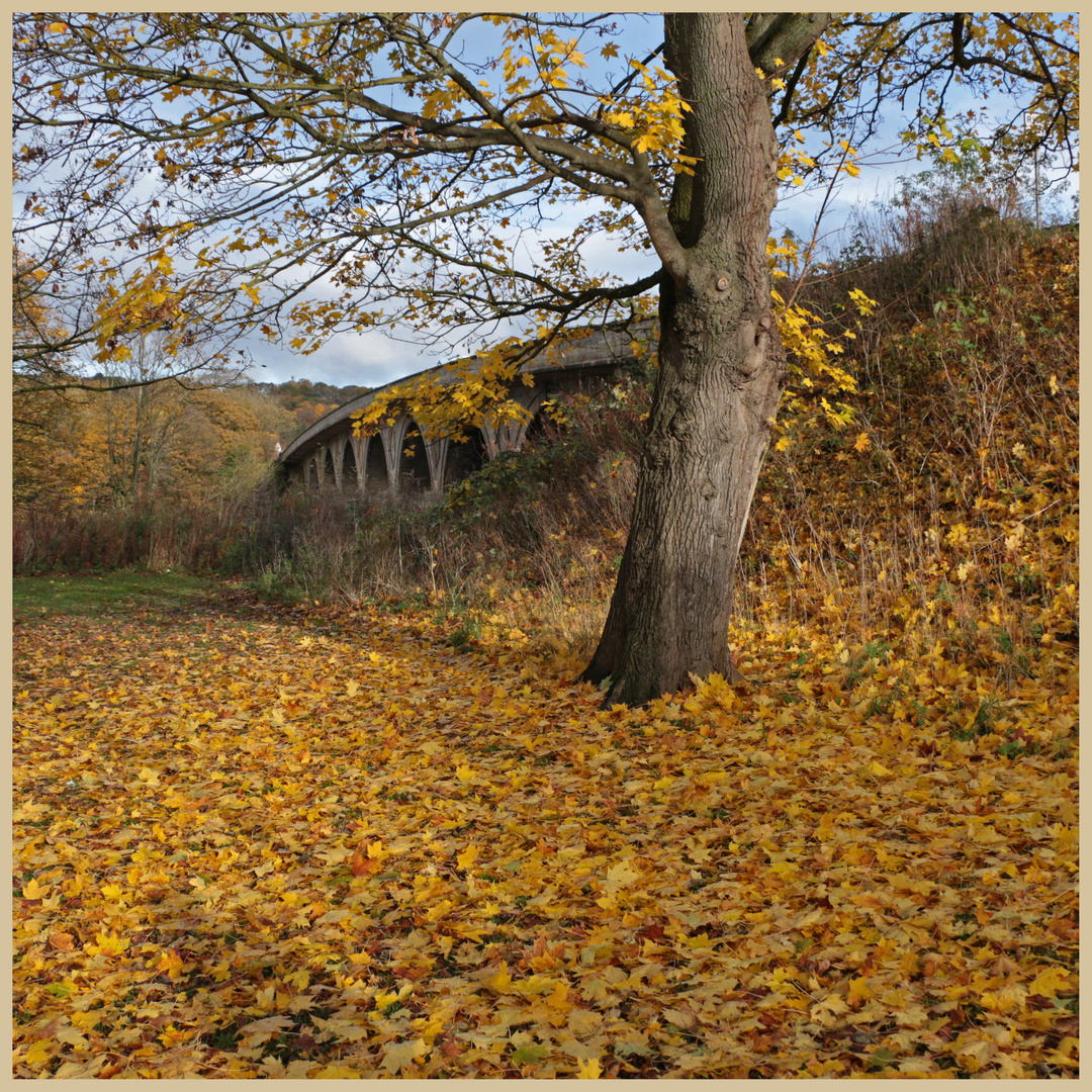 Hexham by the bridge