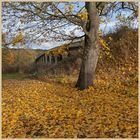 Hexham by the bridge