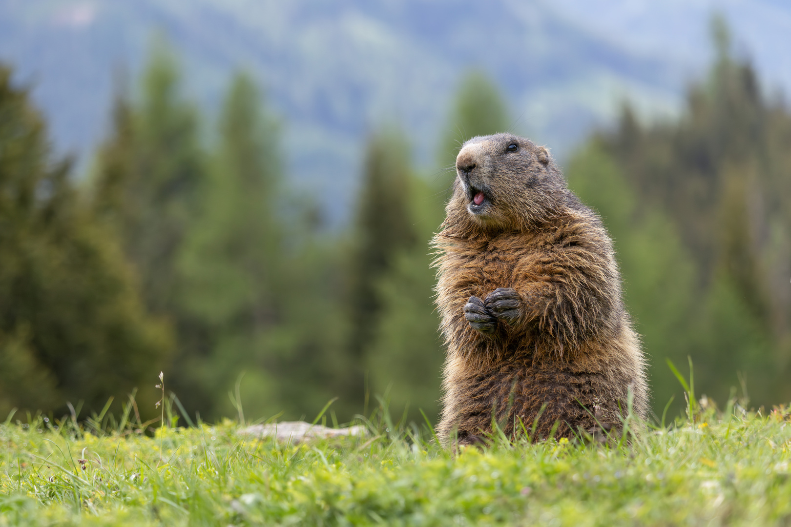 Hey, bitte keine Fotos!