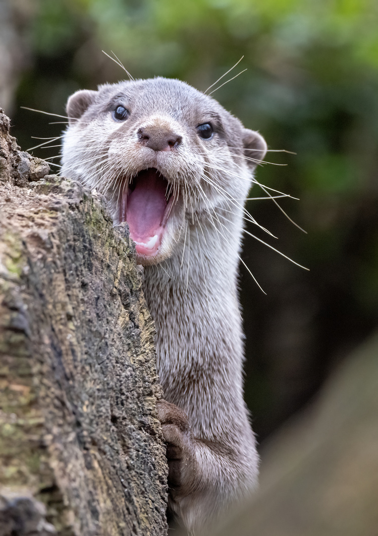 Hey, da bist Du ja wieder!