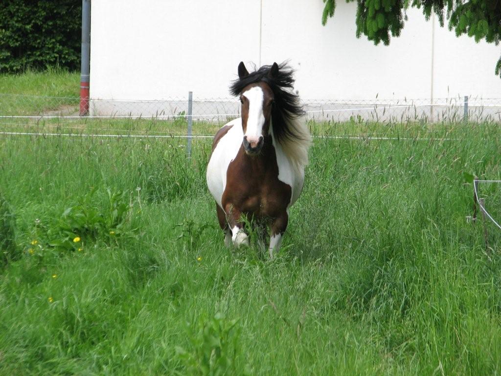 Hey das neue Zuhause gefällt mir!