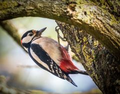 "Hey du da oben ... du wirst nicht für' Rumhängen bezahlt"