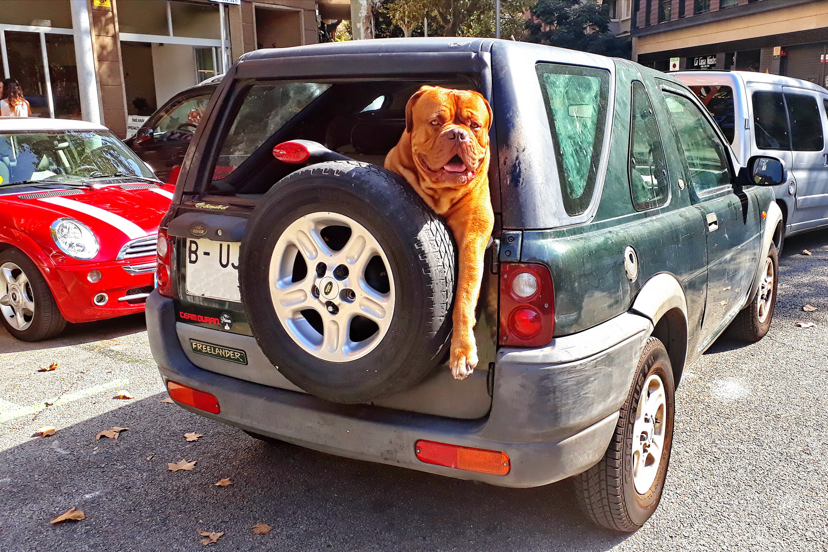 Hey Du, Hände weg vom Auto