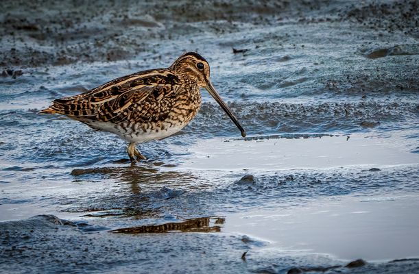 "Hey ..... du sabberst wieder"