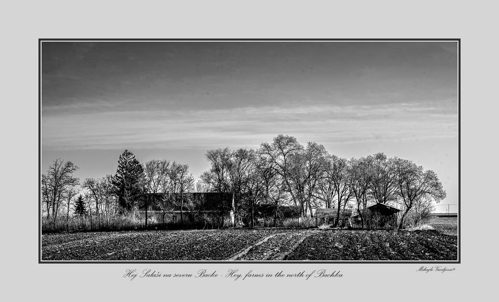 Hey, farms in the north of Bachka