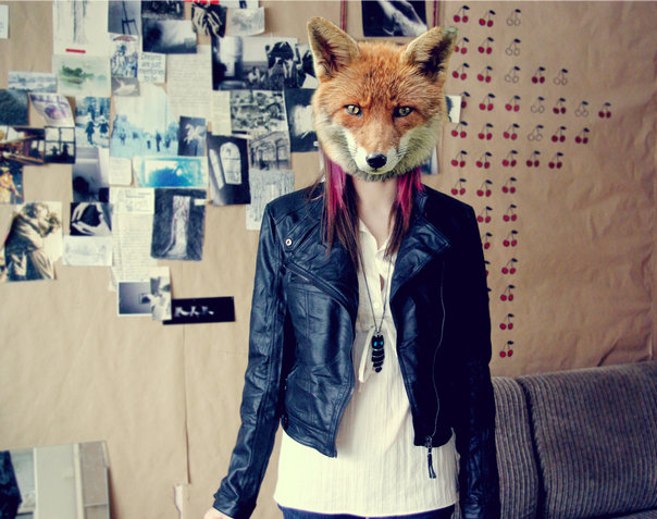 Hey Foxy Foxy