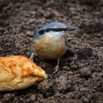 "hey ... Herr Ober - Mund, äääh SCHNABELGERECHT hab ich das bestellt"