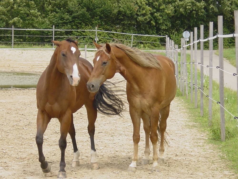 "Hey, lass mich in Ruhe!"