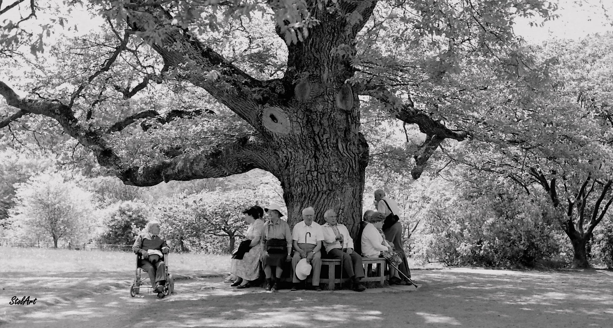 Hey Leute, ich will auch unter den Baum...