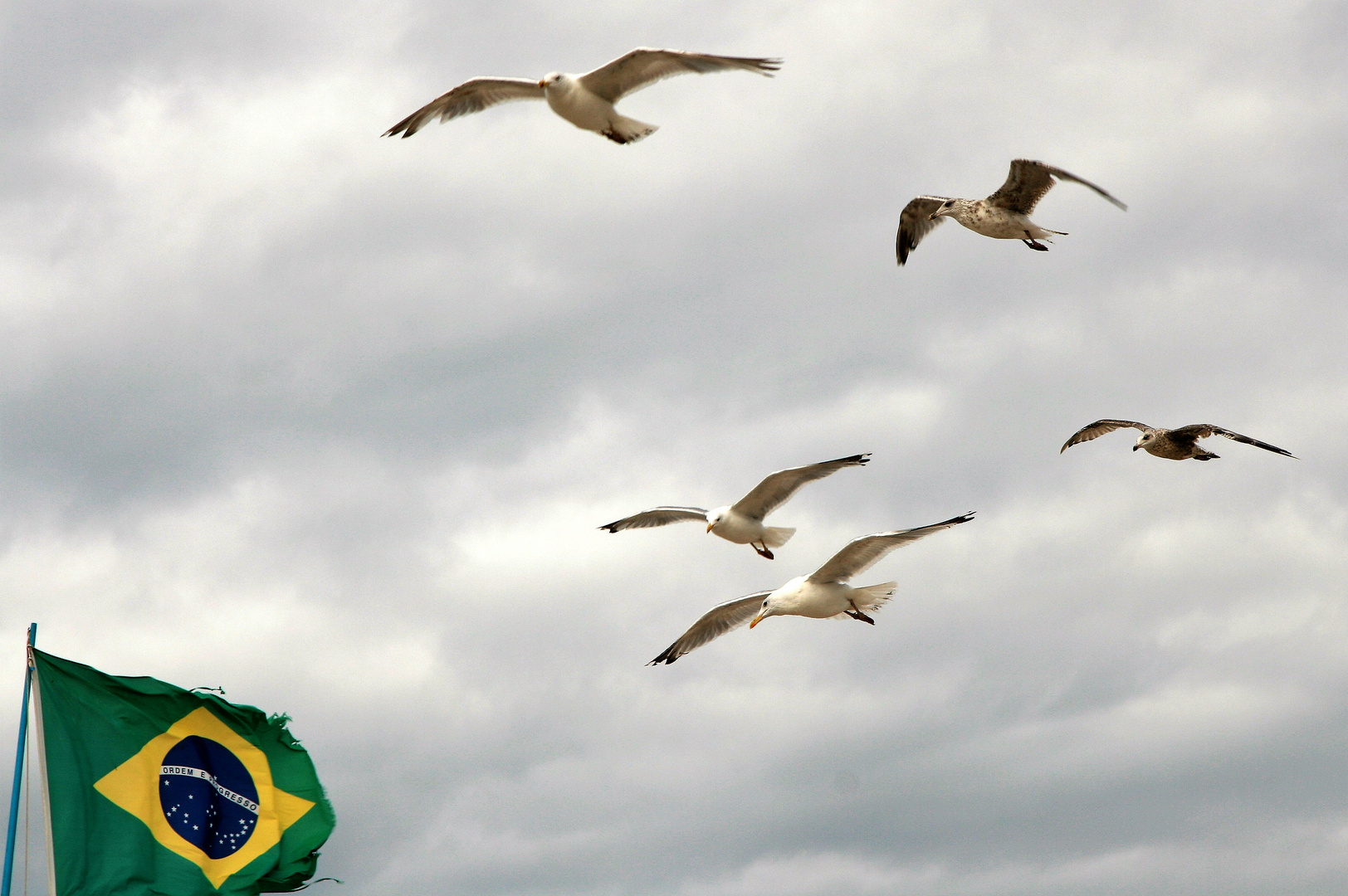 hey leute ! wir haben brasilien erreicht...