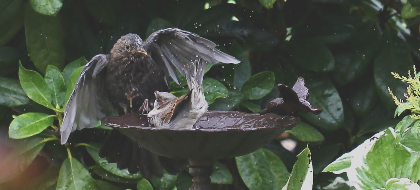 Hey... mach' den Abflug, ich war zuerst hier...