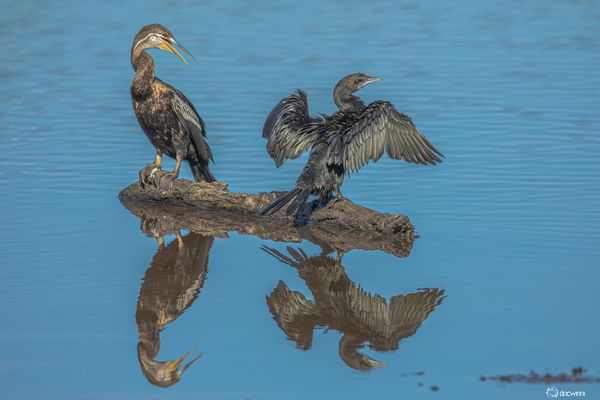 Hey, mach dich nicht so breit !