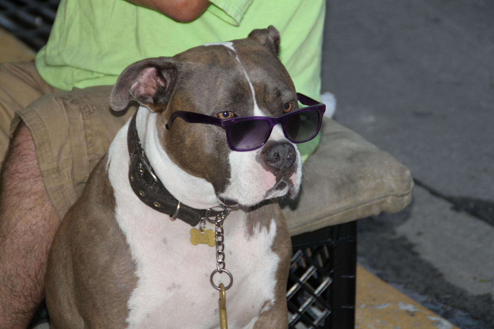 Hey Man!! (aufgenommen in Key West)