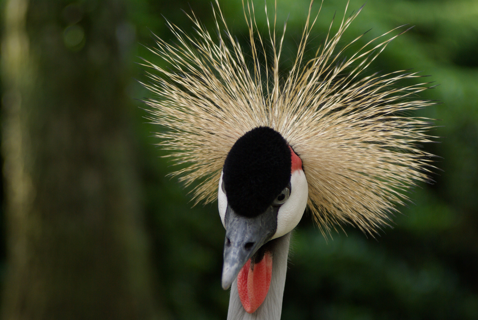 Hey - meine neue Frisur