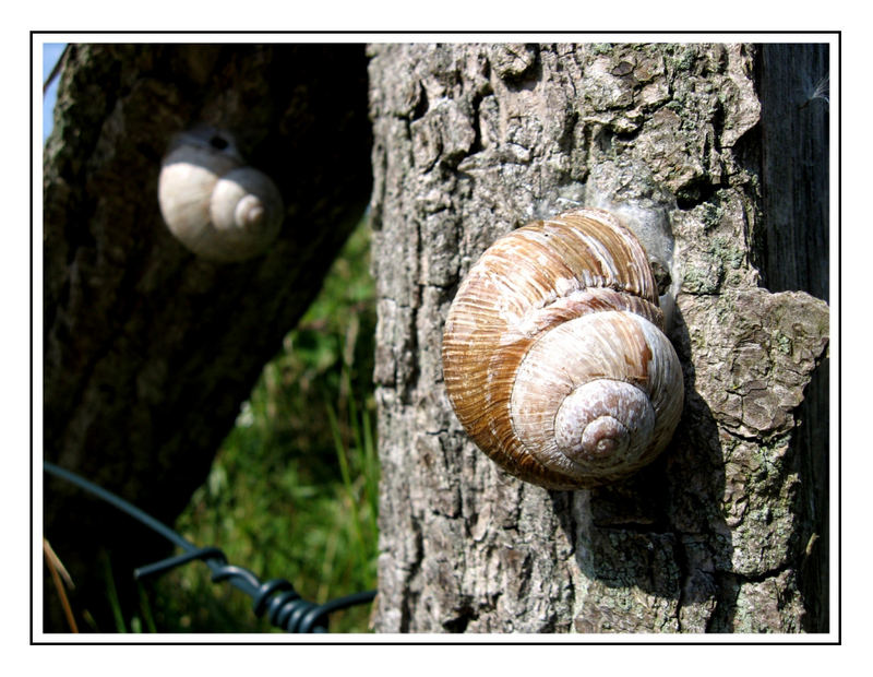 "Hey Schnecke, komm doch mal rüber...."