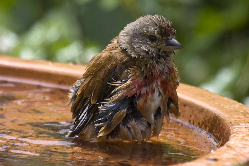 hey, siehst Du besser aus beim Baden?