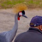 Hey, was bist du denn für ein komischer Vogel 