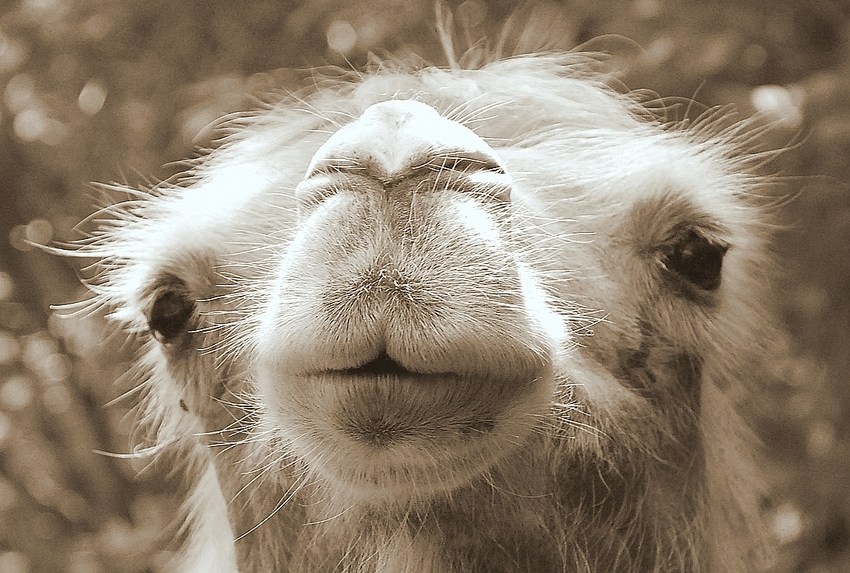 hey was guckst du