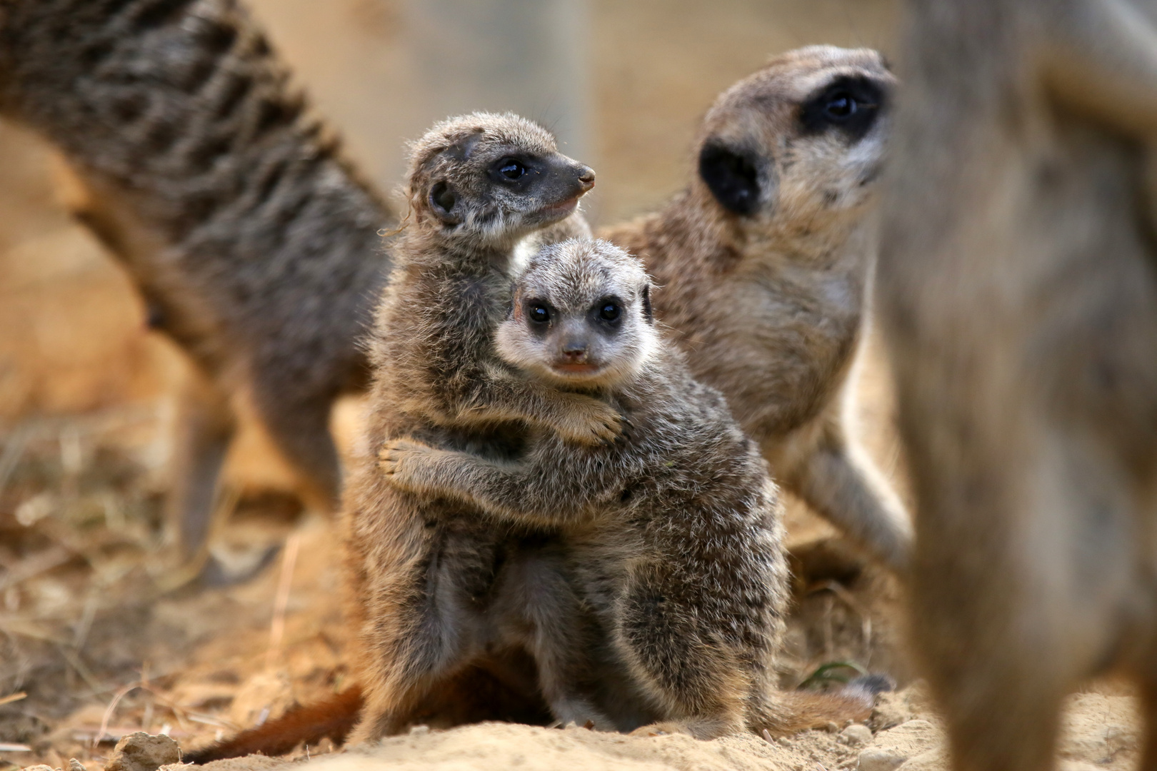 Hey, was guckst Du?