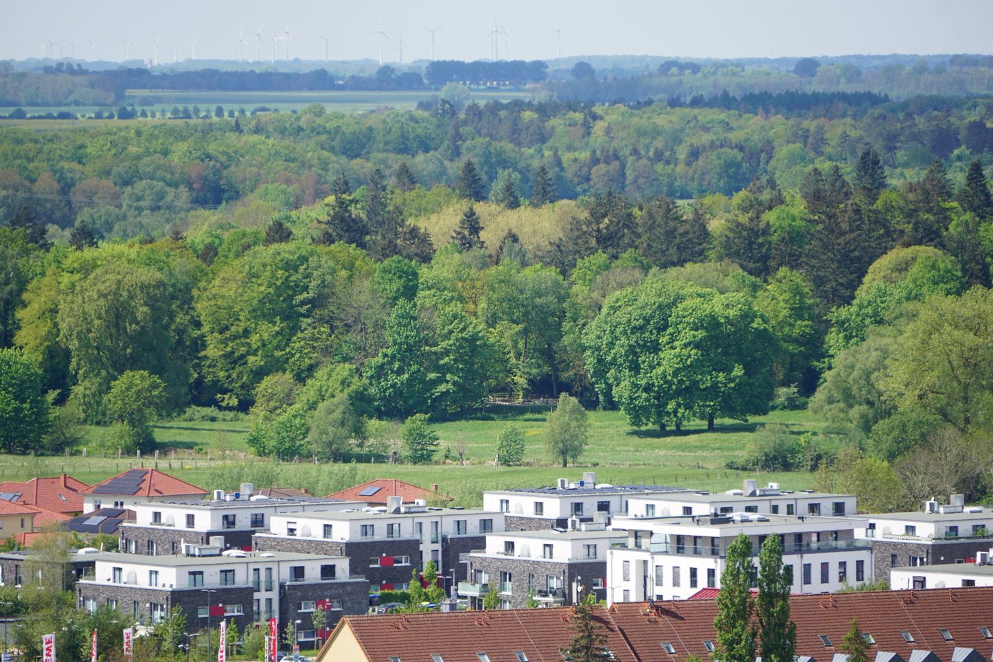 HGW_Wiesen bei Greifswald_heute_7