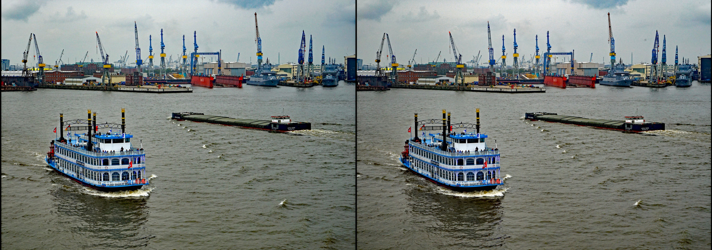 HH Raddampfer auf der Elbe (3D-X-View)