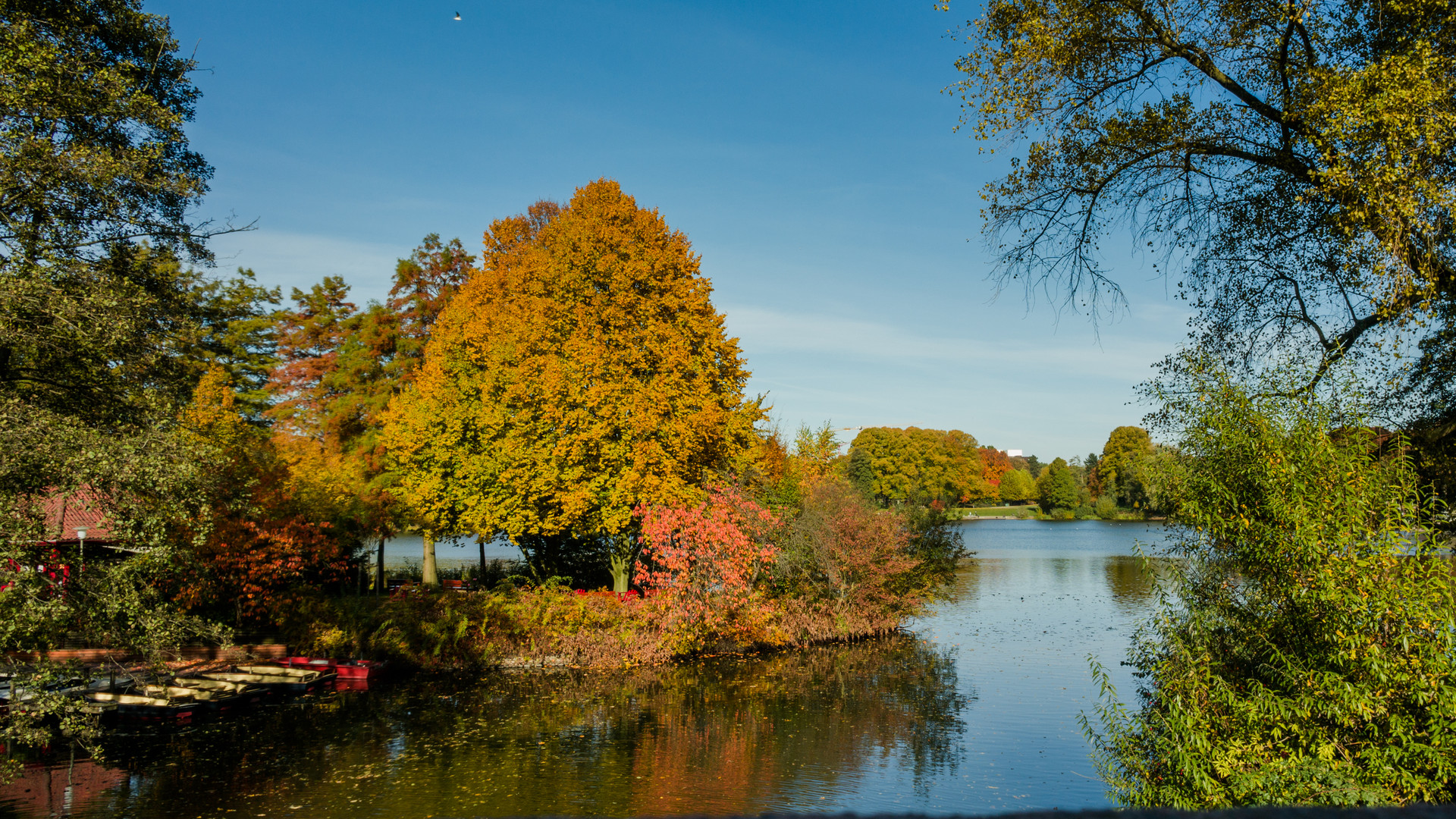 HH-Stadtparksee im Herbst