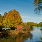 HH-Stadtparksee im Herbst