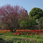 hHermannshof: Schöne bunte Welt mit Menschen