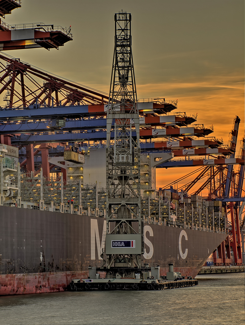  HHLA  Schwimmkran Foto Bild hamburg hafen verkehr 