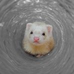Hi!